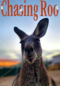 Chasing Roo [Sub-ITA] streaming